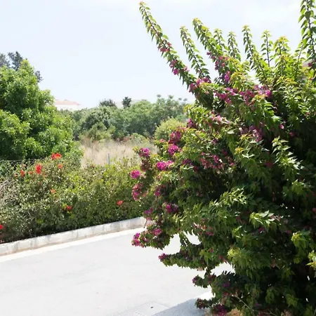 Ilios * Paphos